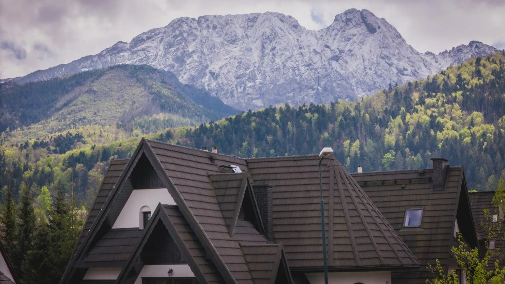Гостевой дом Aspen House Zakopane & Spa
