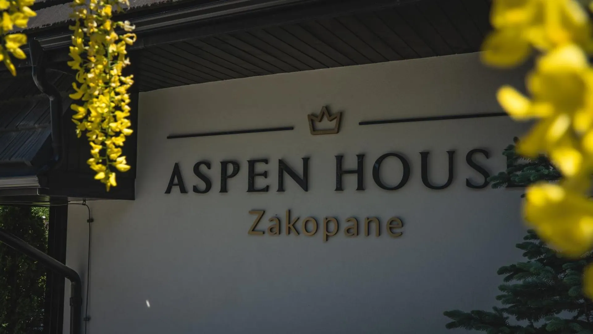 Aspen House Zakopane & Spa 0*,  Польша